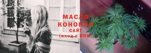 стаф Горняк