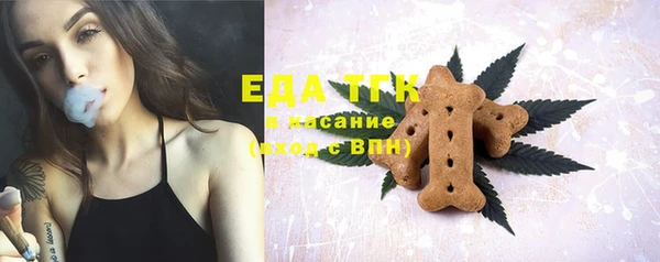 стаф Горняк