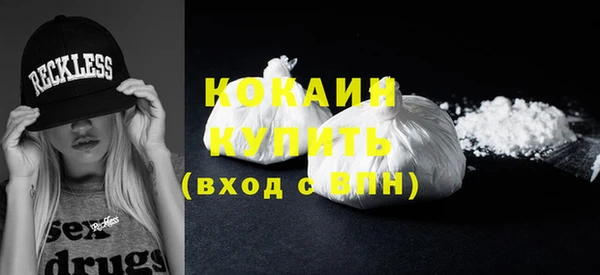 стаф Горняк