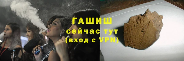 стаф Горняк