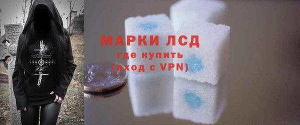 стаф Горняк