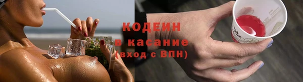 прущие грибы Грязовец