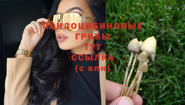 стаф Горняк