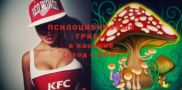 бутират Горнозаводск