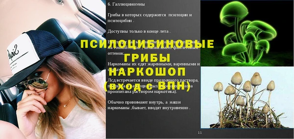 бутират Горнозаводск