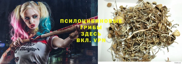 стаф Горняк